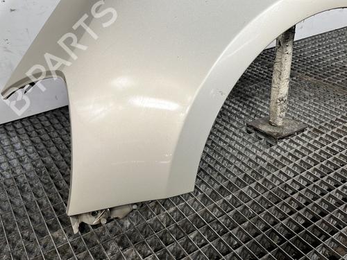 Left front fenders RENAULT CLIO III (BR0/1, CR0/1) 1.5 dCi (BR17, CR17) | BP28496428C41 