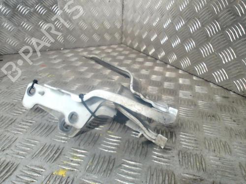 Used Hinge/Door check strap RENAULT CLIO III (BR0/1, CR0/1) 1.5 dCi (88 hp) 19977775