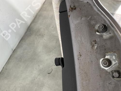 Left rear door RENAULT CLIO III (BR0/1, CR0/1) 1.5 dCi (C/BR0G, C/BR1G) | BP29339903C4 