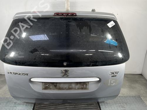 Tailgate PEUGEOT 307 Break (3E) 1.6 HDi 110 8701Q4
