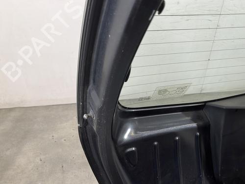 Tailgate DACIA SANDERO 1.5 dCi | BP29202803C6 