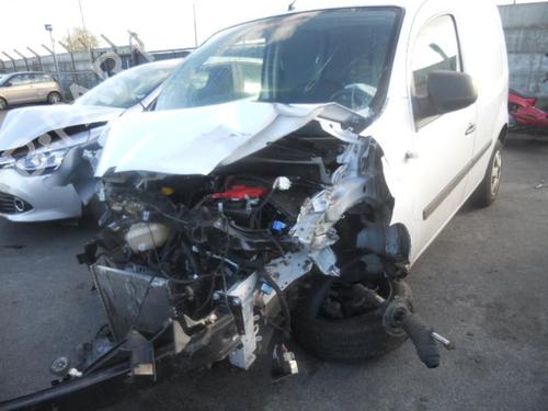 Hinge/Door check strap RENAULT KANGOO Express (FW0/1_)  | BP21949026C146 