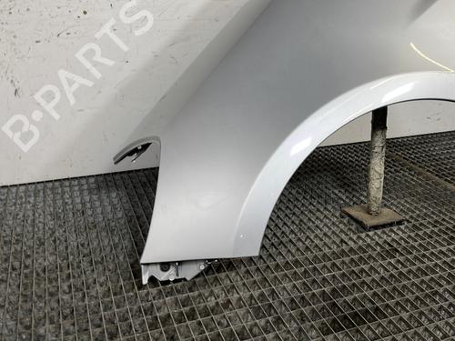 Left front fenders RENAULT CLIO III (BR0/1, CR0/1) 1.5 dCi | BP30176880C41