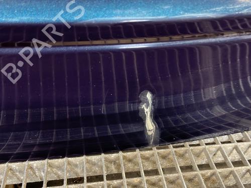Tailgate RENAULT MEGANE I Coach (DA0/1_) 1.6 16V (DA0B, DA04, DA11) | BP29413329C6 