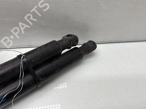 tailgate-lift-support-citroen-c5-iii-break-rw_-2008-2009-2010-2011-2012-2013-2014-2015-2016-2017-32230405 main image