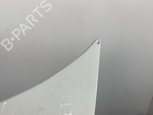 Hood PEUGEOT BIPPER (AA_) 1.4 HDi | BP21957902C1