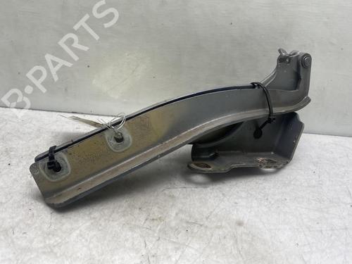 Hinge/Door check strap FIAT PUNTO EVO (199_) 1.2 | BP19993545C146 