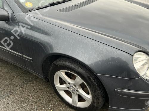 Left front door MERCEDES-BENZ C-CLASS Coupe (CL203) C 200 CDI (203.707) | BP19971221C2 