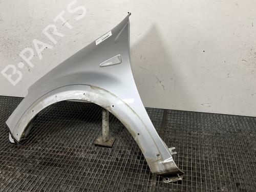 Left front fenders DACIA SANDERO 1.5 dCi | BP29748977C41