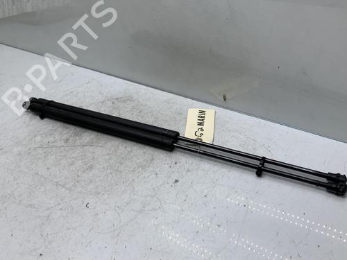 Tailgate lift support CITROËN SAXO (S0, S1)  | BP20021810C138 