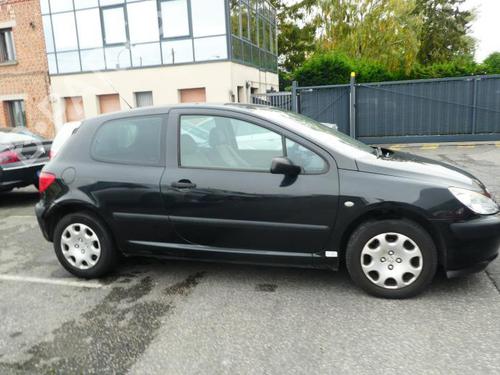 Left front door PEUGEOT 307 (3A/C) 2.0 HDi 90 | BP20025333C2 