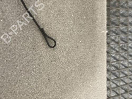 Hattehylle RENAULT TWINGO I (C06_)  | BP28322963C85 