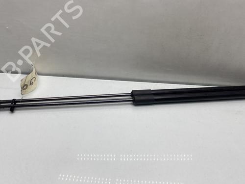 tailgate-lift-support-nissan-juke-f15-2010-2011-2012-2013-2014-2015-2016-2017-2018-2019-26392784 main image