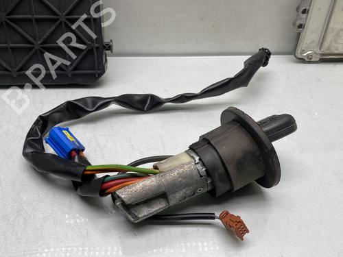 Electronic module PEUGEOT 206+ (2L_, 2M_) 1.4 HDi eco 70 | BP31612929M83 