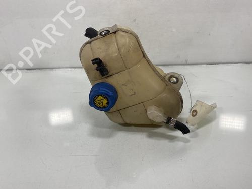 Used Expansion tank FIAT BRAVO II (198_) 1.6 D Multijet (198AXM1B) (90 hp) 19996078