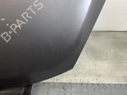 Hood RENAULT SCÉNIC III (JZ0/1_) 1.5 dCi | BP30389324C1 