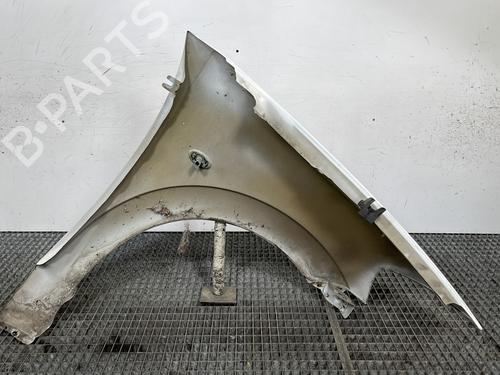 Left front fenders CITROËN C3 I (FC_, FN_) 1.4 i | BP28540380C41 