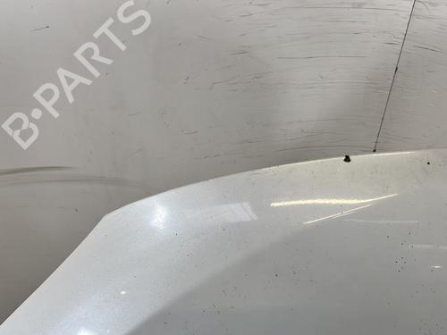 Hood RENAULT MEGANE III Coupe (DZ0/1_) 1.6 dCi (DZ00, DZ12, DZ2A, DZ13) | BP30720017C1