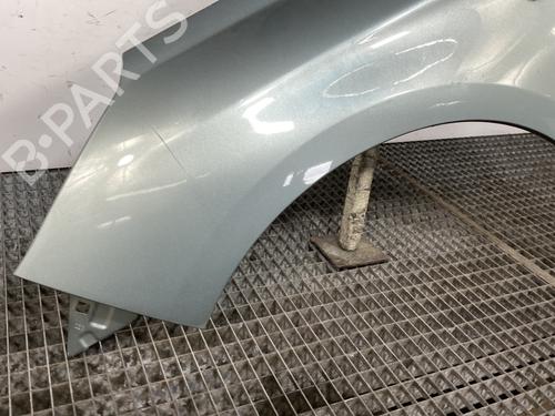 Left front fenders CITROËN C4 II (NC_) 1.6 HDi 110 | BP26168126C41