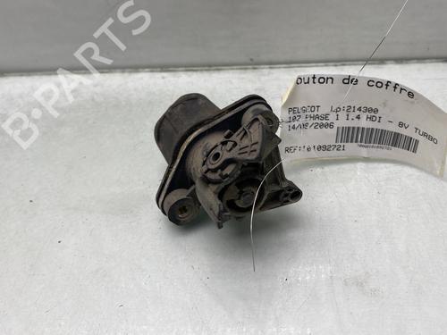 Switch PEUGEOT 107 (PM_, PN_) 1.4 HDi | BP24428104I30 