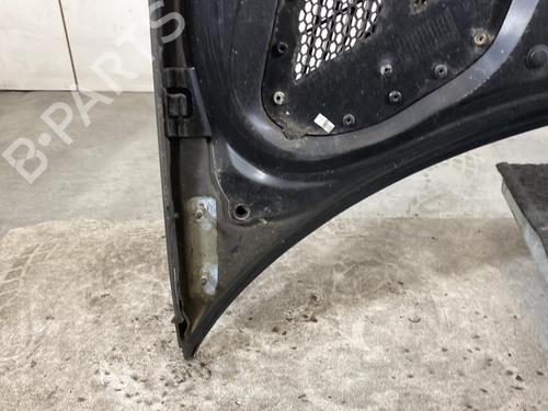 Hood PEUGEOT 206+ (2L_, 2M_) 1.4 HDi eco 70 | BP19970198C1