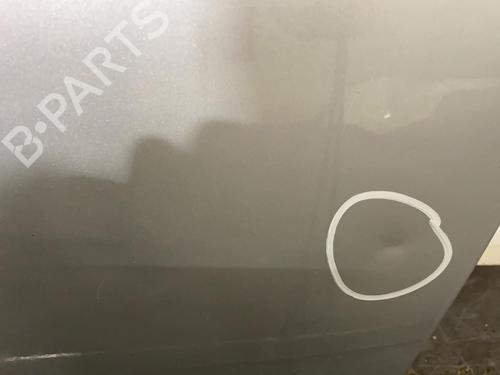 Left front door MINI MINI (R50, R53)  | BP20000204C2 