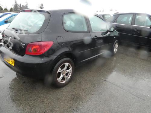 Left front door PEUGEOT 307 (3A/C) 2.0 HDi 90 | BP20000583C2 