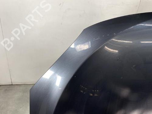 Hood RENAULT MEGANE III Hatchback (BZ0/1_, B3_) 1.5 dCi (BZ0C) | BP19950286C1 