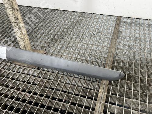 door-moulding-trim-renault-modus-grand-modus-fjp0_-2004-30546723 main image