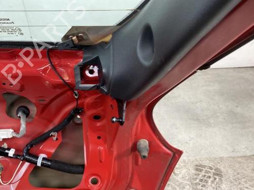 Tailgate NISSAN JUKE (F15) 1.5 dCi | BP19990330C6