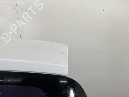 Tailgate RENAULT CLIO III (BR0/1, CR0/1) 1.5 dCi (C/BR0G, C/BR1G) | BP29995775C6 