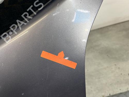 Tailgate RENAULT CLIO III (BR0/1, CR0/1) 1.5 dCi (BR17, CR17) | BP28475732C6
