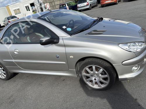 Fuse box PEUGEOT 206 CC (2D) 1.6 HDi 110 | BP31206019E1  - Image 13