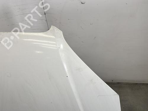 Capot Capot FIAT DOBLO Box Body/MPV (223_) 1.3 D Multijet (75 hp) 31641275 31641275