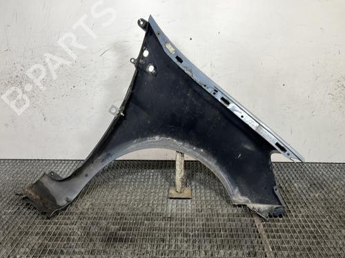 Left front fenders RENAULT CLIO III (BR0/1, CR0/1) 1.2 16V (BR02, BR0J, BR11, CR02, CR0J, CR11) | BP30698602C41