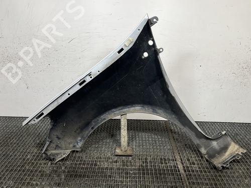 Right front fenders RENAULT CLIO III (BR0/1, CR0/1) 1.5 dCi (BR17, CR17) | BP29707650C42 