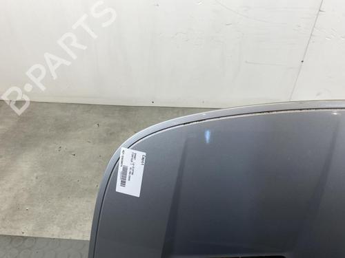 Hood SMART FORFOUR (454) 1.1 (454.030) | BP20185669C1 