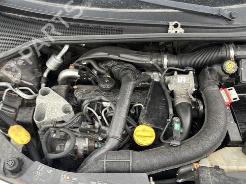 Luce targa RENAULT CLIO III (BR0/1, CR0/1) 1.5 dCi (C/BR0G, C/BR1G) | BP30864051I40