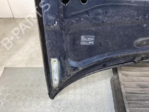 Hood VW PASSAT B5.5 (3B3) 1.9 TDI | BP20315983C1 