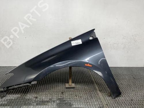 Left front fenders RENAULT LAGUNA III (BT0/1) 2.0 dCi (BT01, BT08, BT09, BT0E, BT0K, BT12, BT1C, BT1D,... | BP21961656C41 
