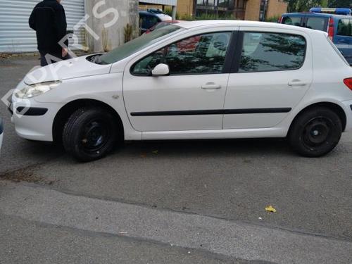 Left rear door PEUGEOT 307 (3A/C) 1.6 HDi | BP20009279C4 