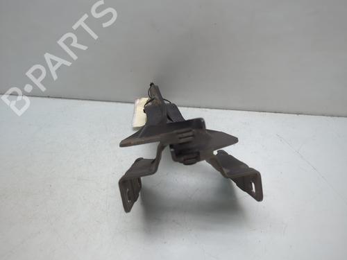 Hinge/Door check strap NISSAN QASHQAI I (J10, NJ10) 1.5 dCi | BP24550136C146