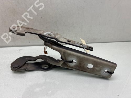 hingedoor-check-strap-vw-golf-vii-5g1-bq1-be1-be2-2012-2013-2014-2015-2016-2017-2018-2019-2020-2021-37029031 main image