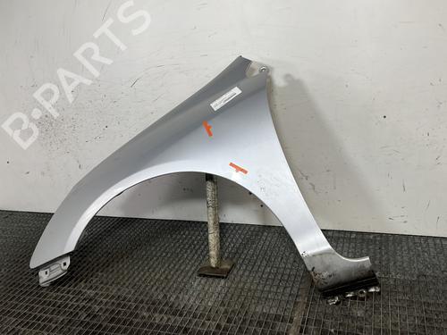Left front fenders HONDA CIVIC VII Hatchback (EU, EP, EV) 1.7 CTDi (EP4, EU9) | BP23973037C41