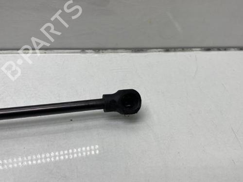 Used Hood lift support DACIA LODGY (JS_) 1.2 TCe (JSAY, JSM0) (115 hp) 19988006
