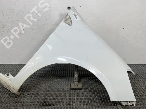 Right front fenders RENAULT CLIO III (BR0/1, CR0/1) 1.5 dCi (C/BR0G, C/BR1G) | BP29456210C42 