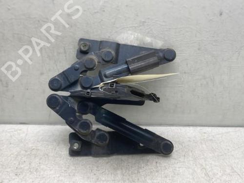 Used Hinge/Door check strap Hinge/Door check strap SEAT ALTEA (5P1) 2.0 TDI 16V (140 hp) 19954450 19954450