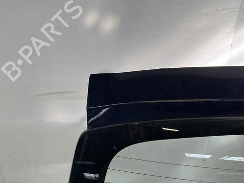 Tailgate DACIA SANDERO 1.4 (BS0C, BS0A, BS0G, BS1F, BS0E) | BP29039371C6 