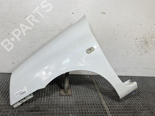 Used Left front fenders RENAULT CLIO II (BB_, CB_) 1.2 (BB0A, BB0F, BB10, BB1K, BB28, BB2D, BB2H, CB0A,... (58 hp) 32263892