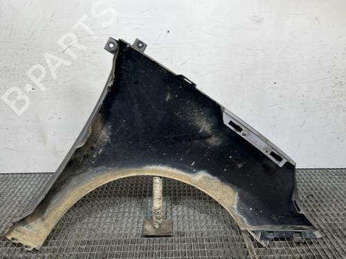 Left front fenders RENAULT SCÉNIC III (JZ0/1_) 1.9 dCi (JZ0J, JZ1J, JZ1K, JZ1S) | BP28280779C41 